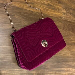 Ted Baker London Velvet Crossbody Bag - Rich Purple